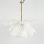 Ostrich Feather Chandeliers