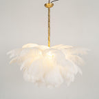 Ostrich Feather Chandeliers