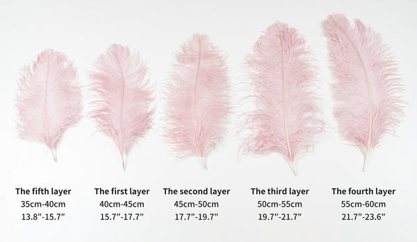 Ostrich Feather Chandelier