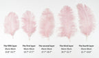 Ostrich Feather Chandelier
