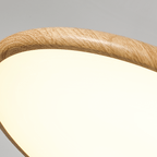 Ovalo Grain Pendant Light