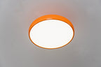 Pangen Ceiling Lamp