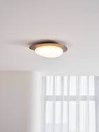 Pebble Metal Ceiling Light