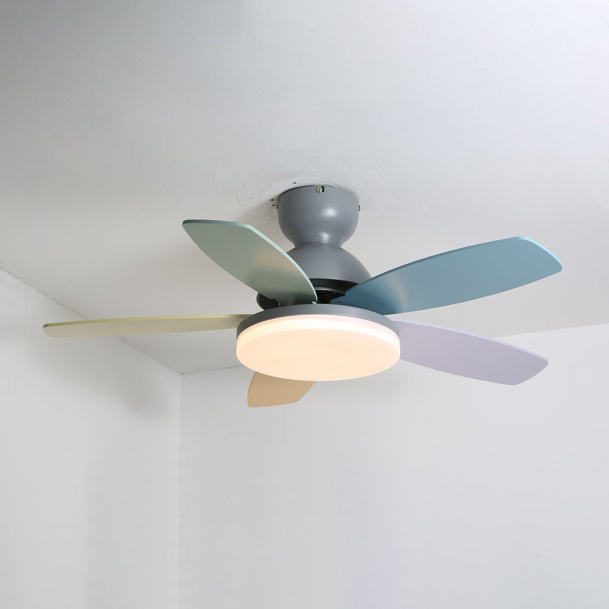 Petalo Ceiling Fan Light
