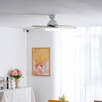 Petalo Ceiling Fan Light