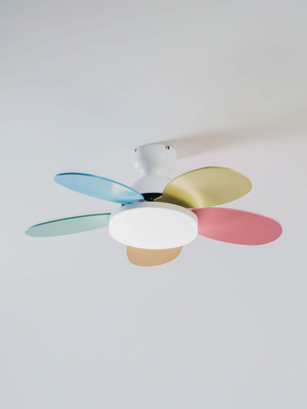 Petalo Ceiling Fan Light