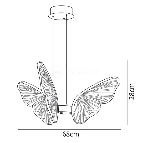 Phalaenopsis Chandelier