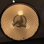 Podgy Pendant Light