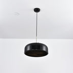 Podgy Pendant Light
