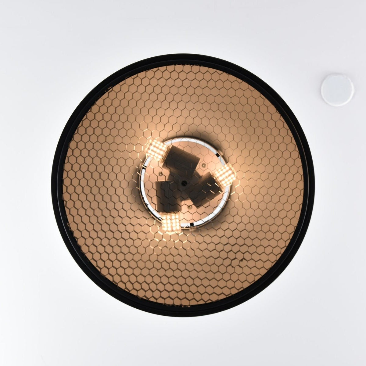 Podgy Pendant Light