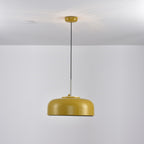 Podgy Pendant Light