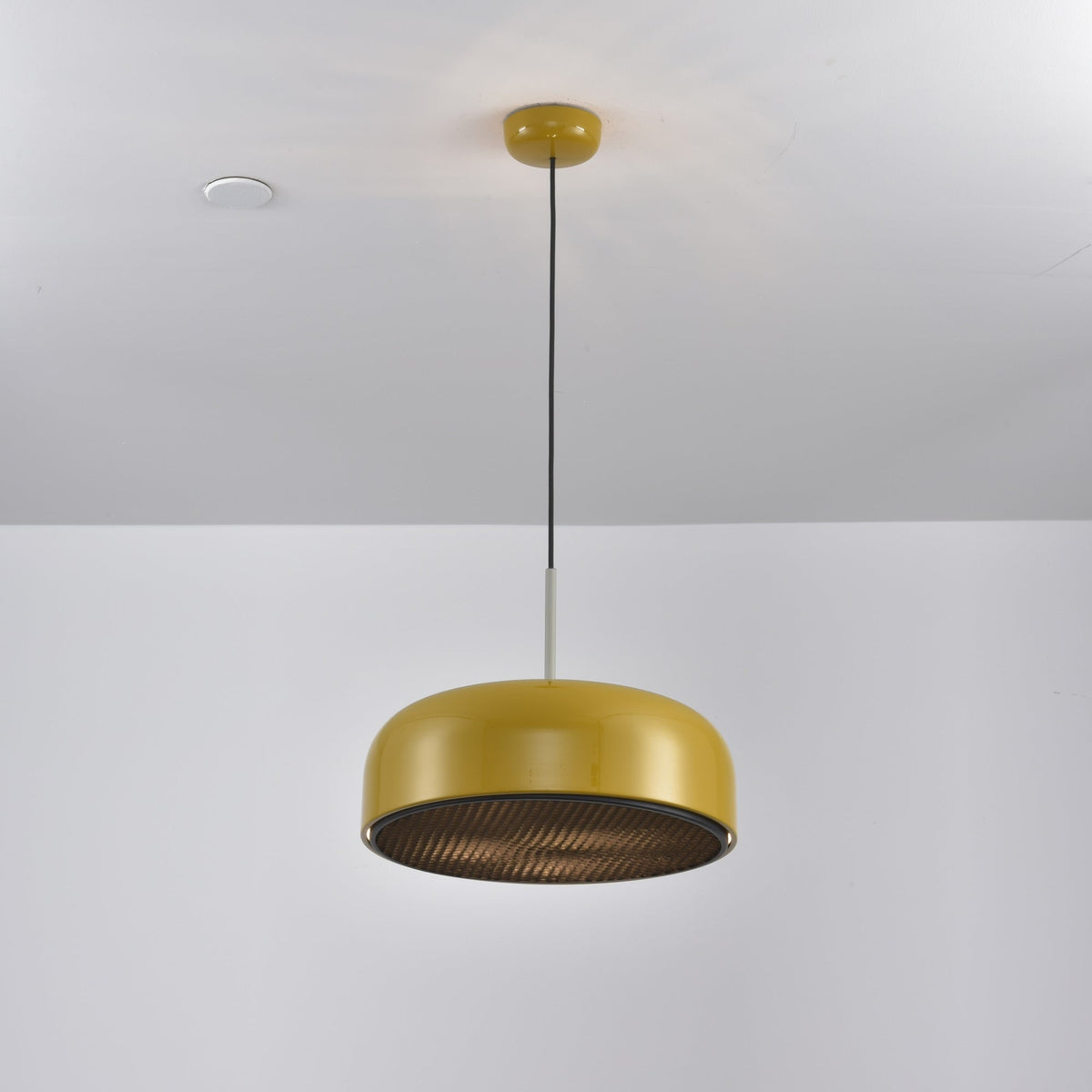 Podgy Pendant Light