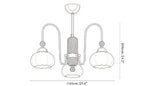 Pomona Chandelier