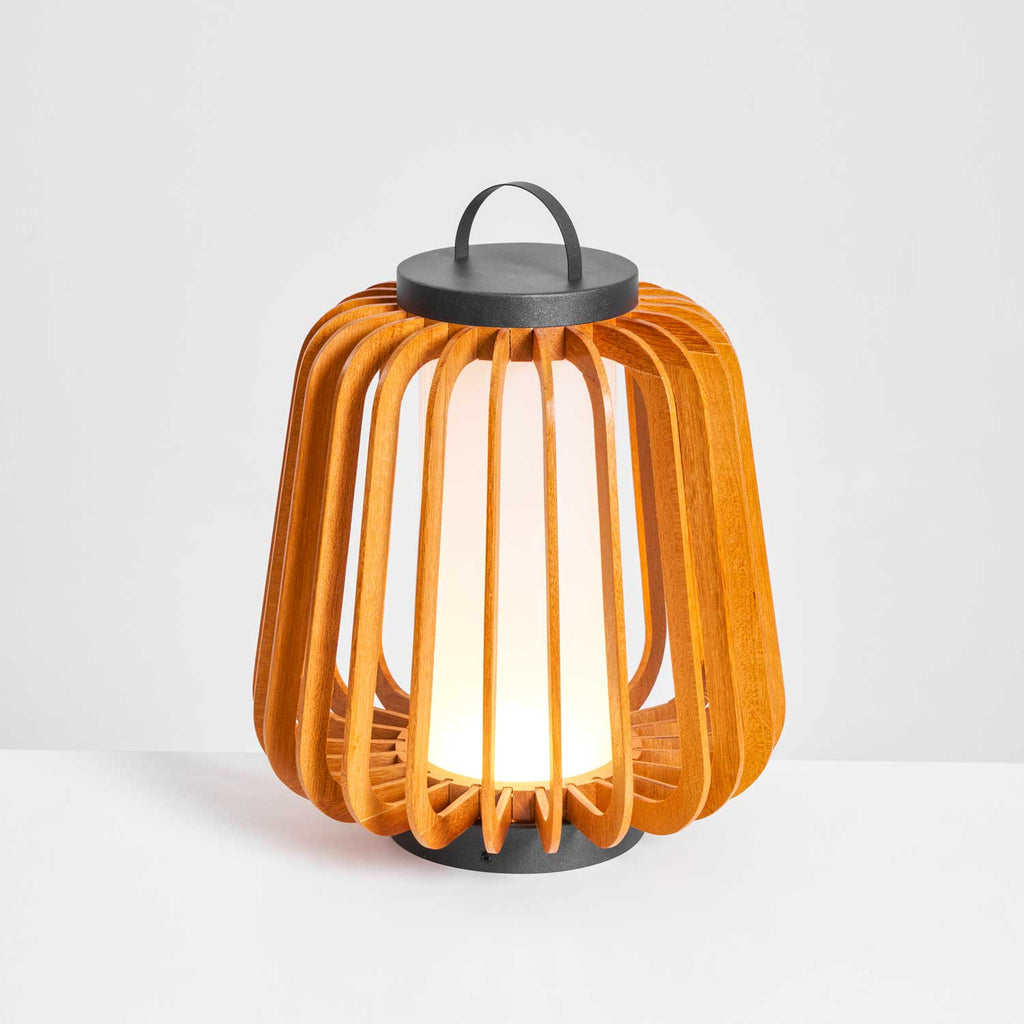 Portable Lantern Outdoor Light