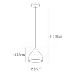 Resin Bowl Pendant Lamp