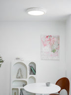 Ripple Halo Ceiling Light