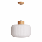 Rivena Glass Pendant Lamp