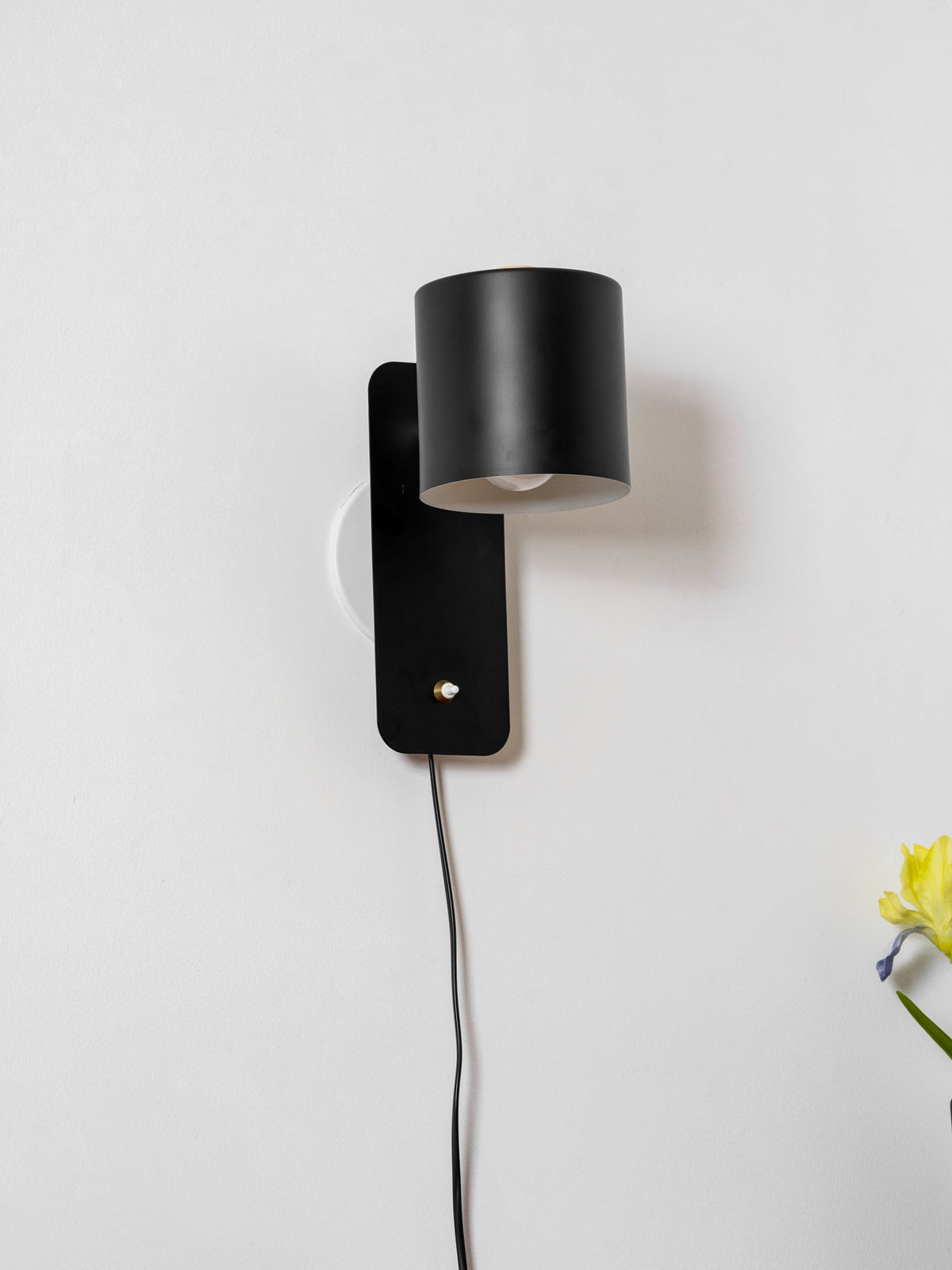Rotatable Cylinder Plug - in Wall Lamp