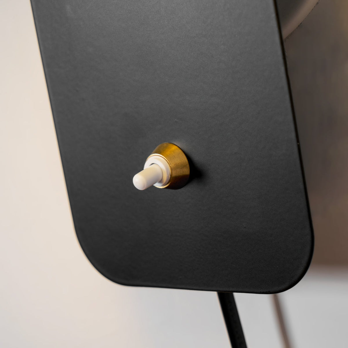 Rotatable Cylinder Plug - in Wall Lamp