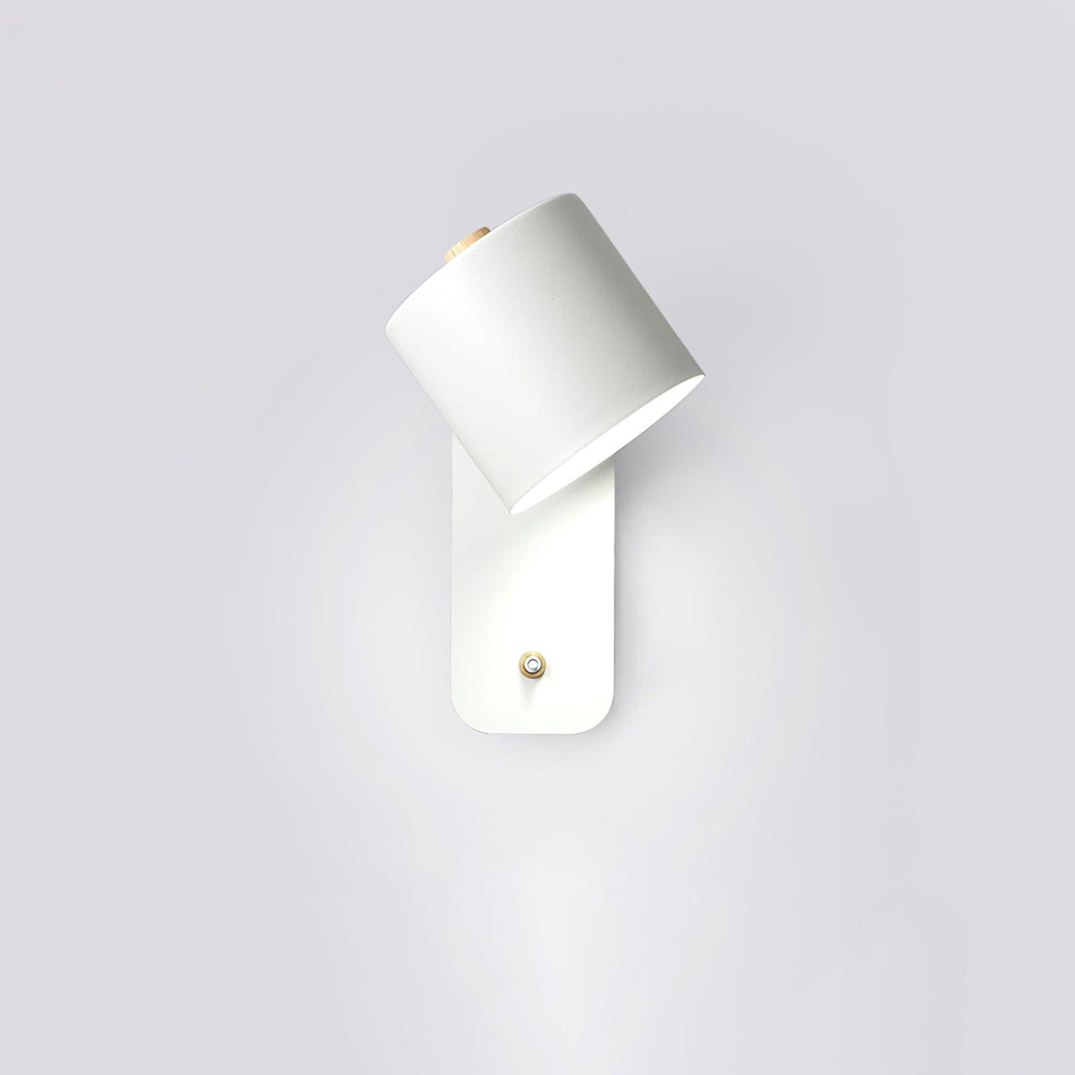 Rotatable Cylinder Plug - in Wall Lamp