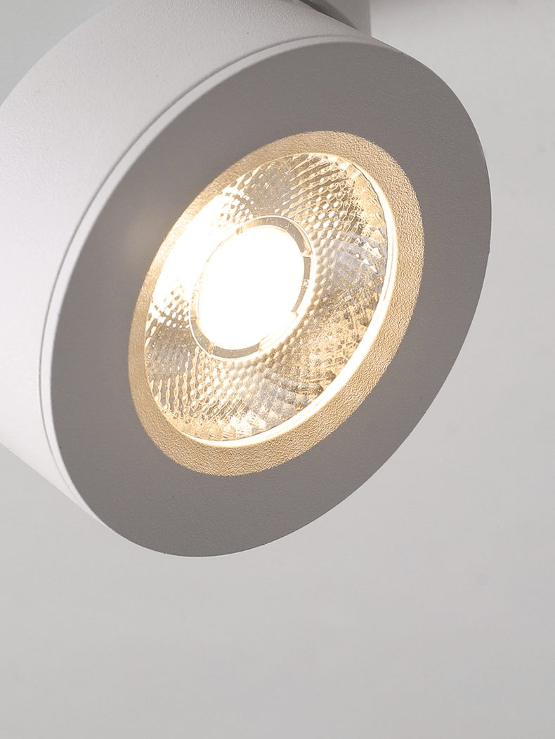 Round Rotating LED Downlight
