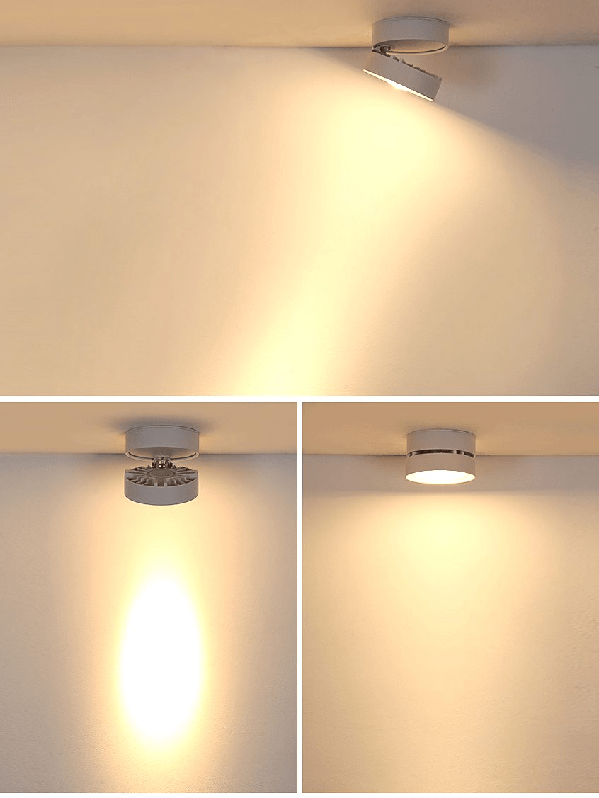 Round Rotating LED Downlight