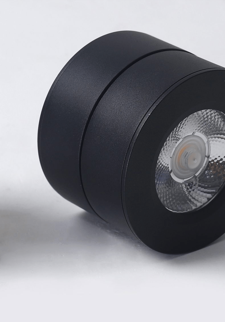 Round Rotating LED Downlight