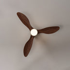 Rovelle Ceiling Fan Light