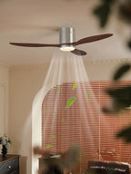 Rovelle Ceiling Fan Light