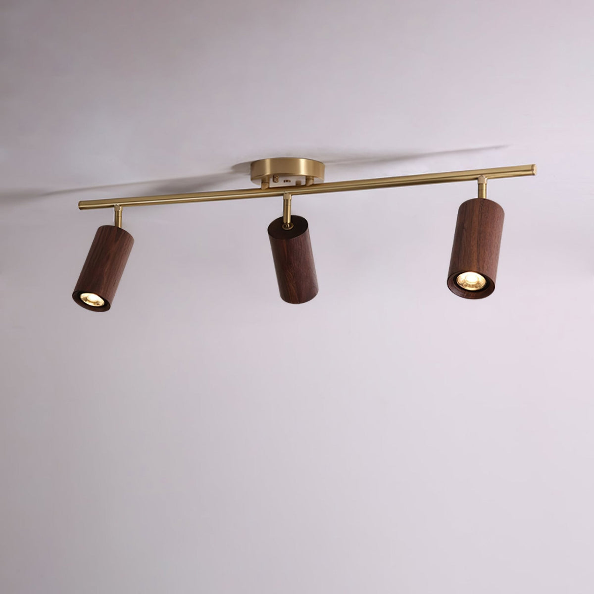 Rowan Ceiling Light