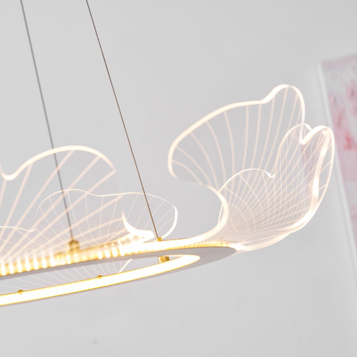 Sea Chandelier