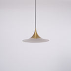 Semi Pendant Light