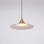 Semi Pendant Light