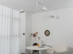Serge Mouille Ceiling Light A