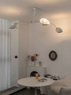 Multi - Arm Spider Ceiling Light A