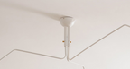Multi-Arm Spider Ceiling Light A