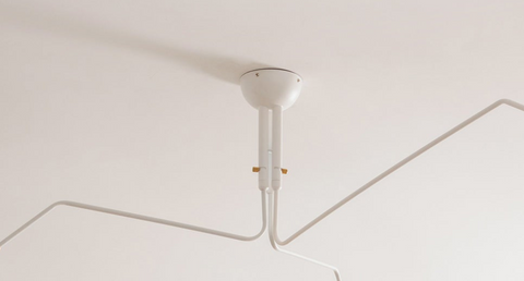 Multi-Arm Spider Ceiling Light A