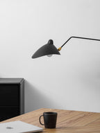 Versatile Arm Wall Sconce