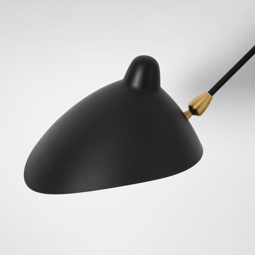 Versatile Arm Wall Sconce