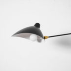 Versatile Arm Wall Sconce