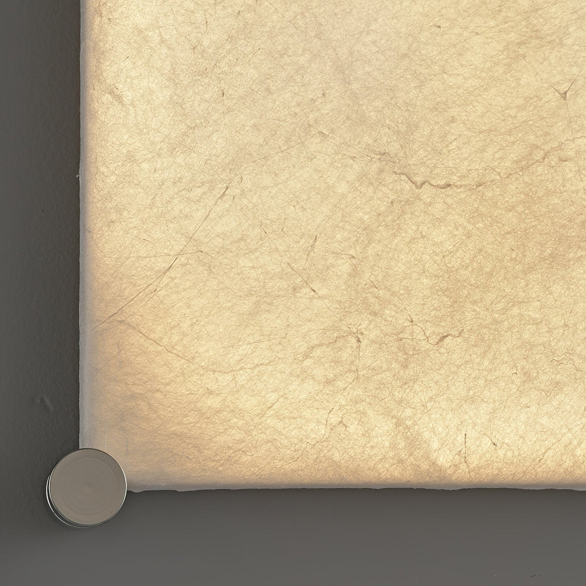 Serica Wall Light