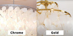 Round Shell Chandelier