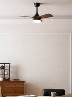 Silven Curve Ceiling Fan Light