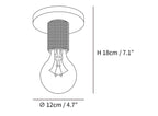 Simple Style Flush Mount Light