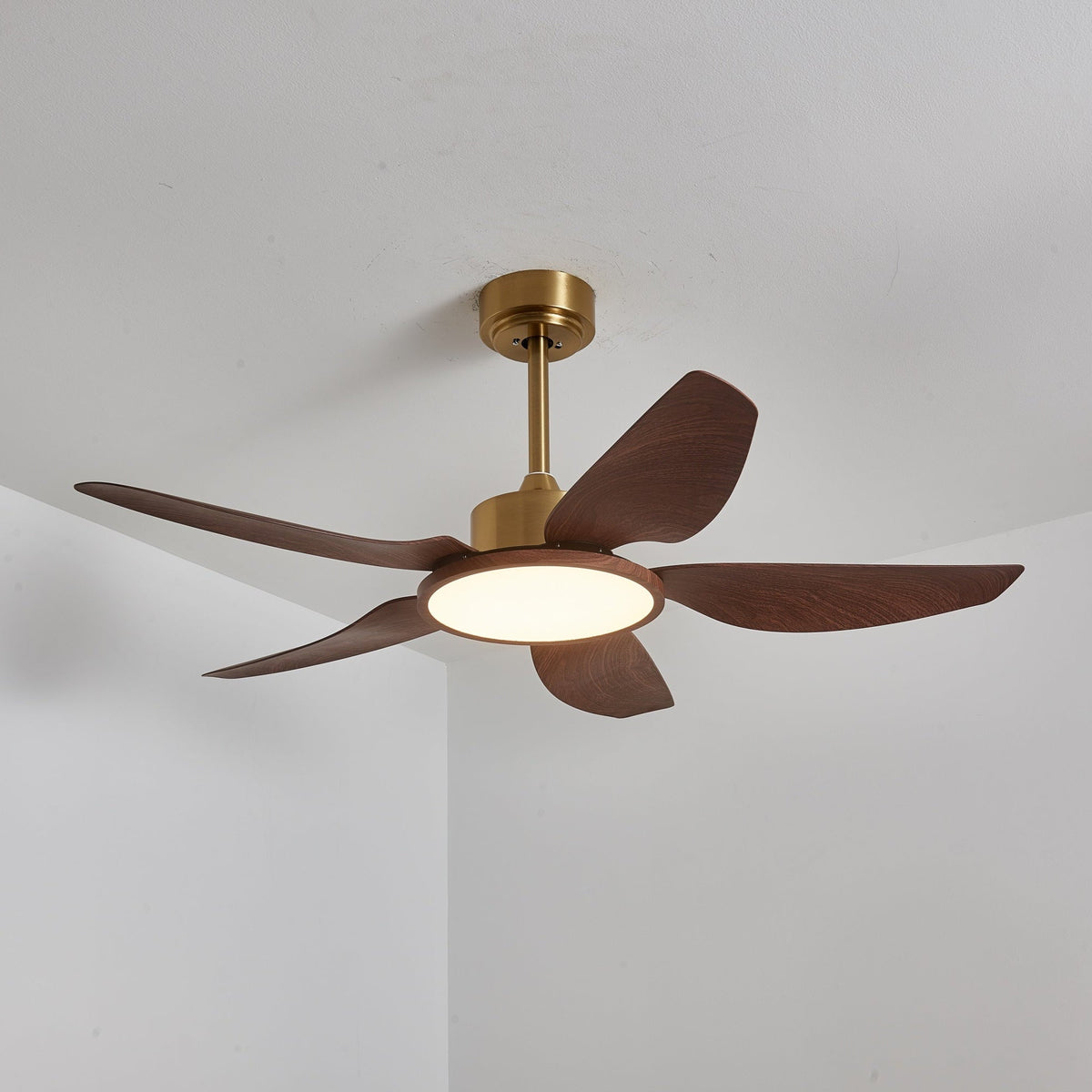 Sirocco Breeze Ceiling Fan Light