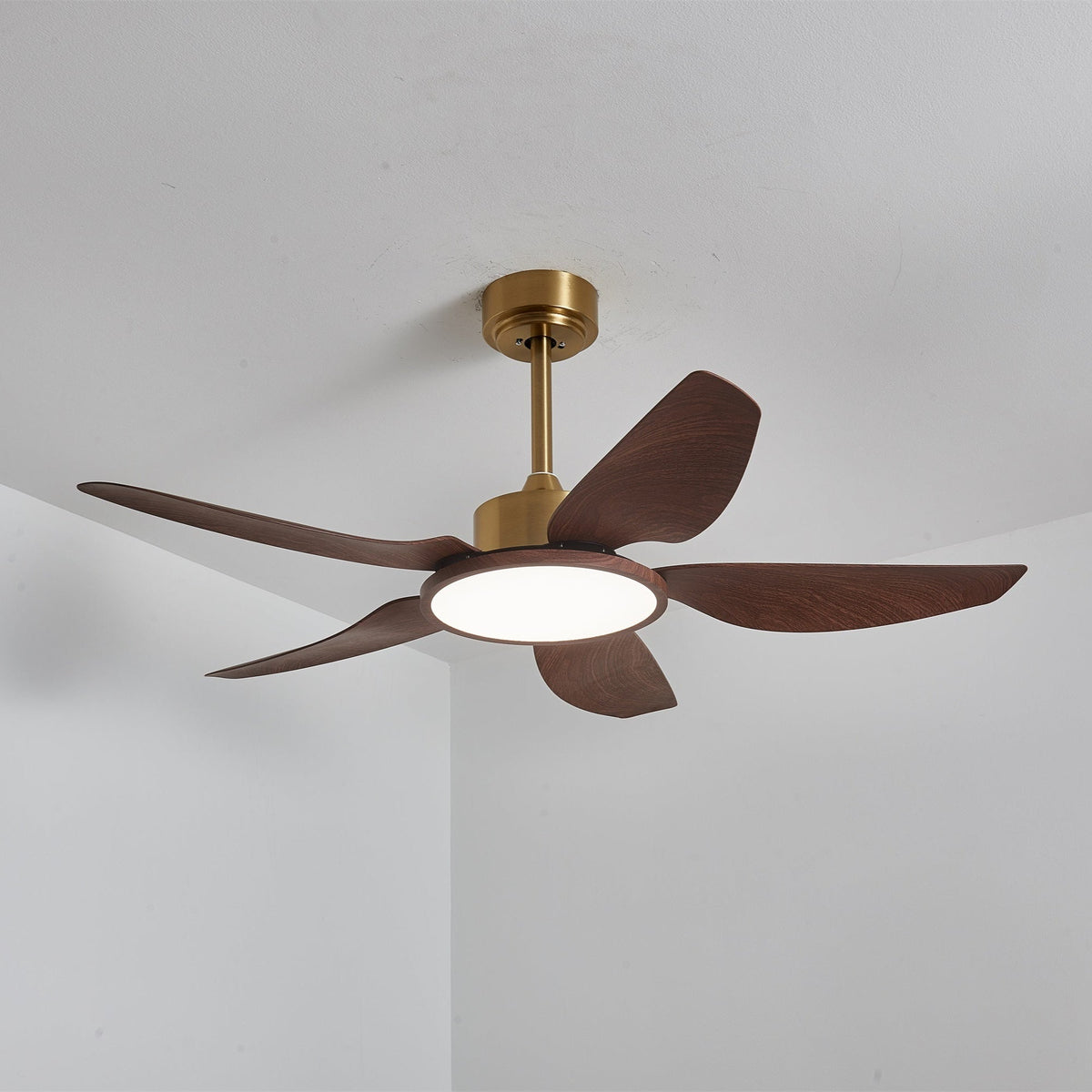 Sirocco Breeze Ceiling Fan Light
