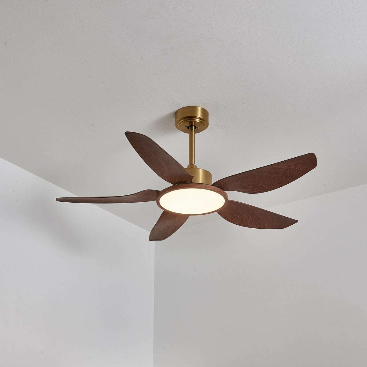 Sirocco Breeze Ceiling Fan Light