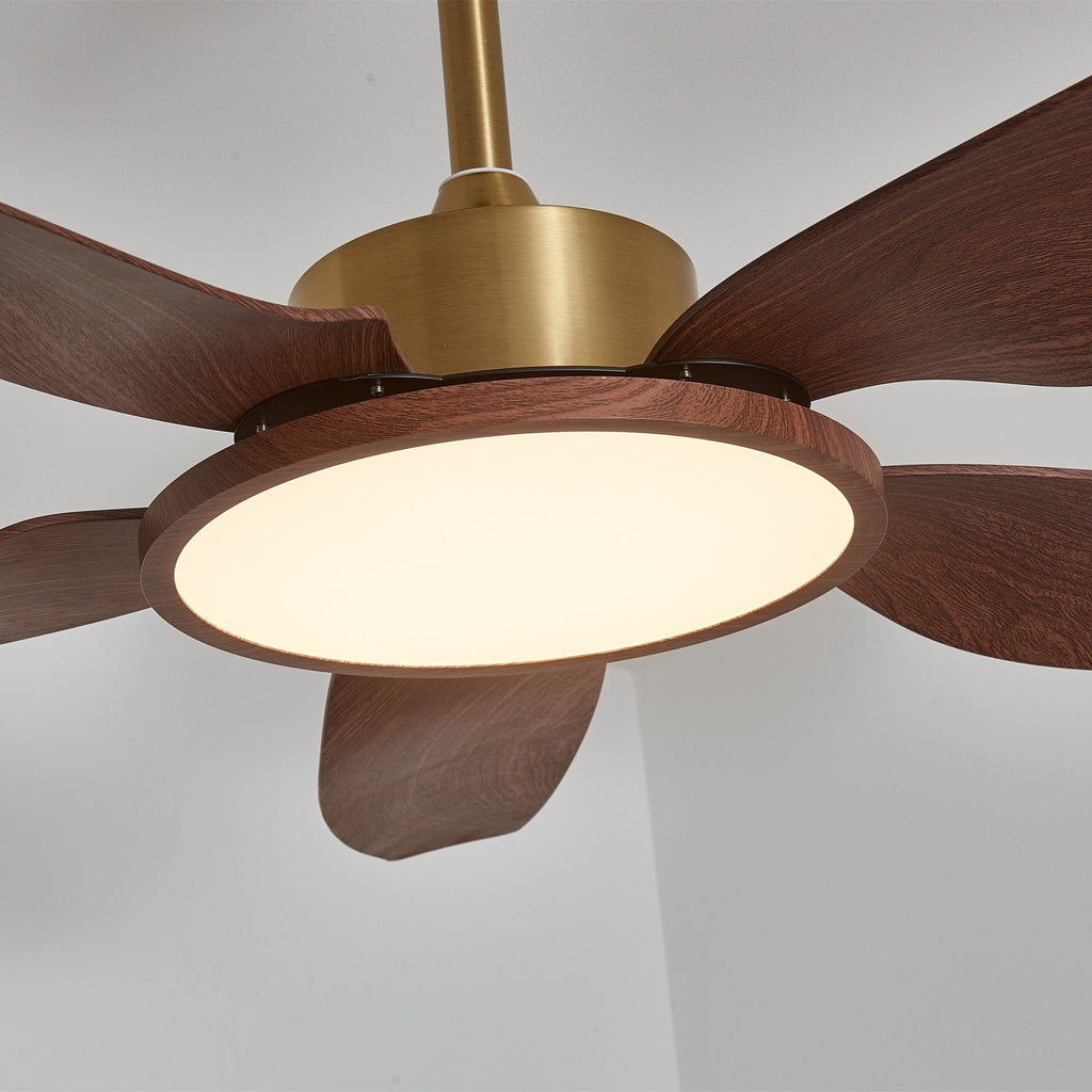 Sirocco Breeze Ceiling Fan Light
