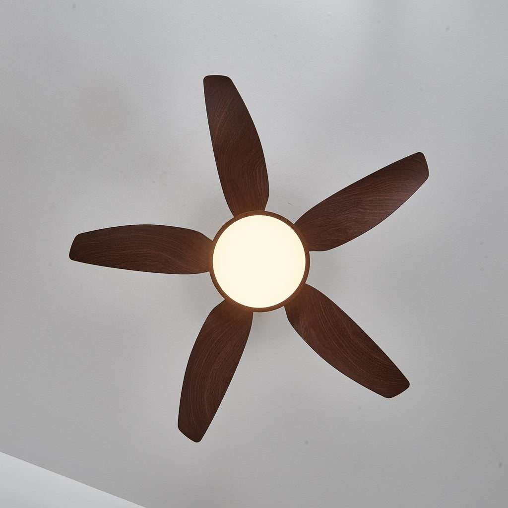 Sirocco Breeze Ceiling Fan Light