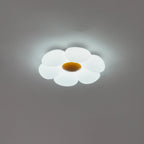 Six - leaf Flower Kids Room Ceiling Lamp